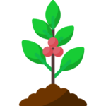 Fresh green leaves emerging from soil symbolizing maturity, strength, and transformation