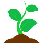 Young plant with buds symbolizing nurturing, development, and early progress