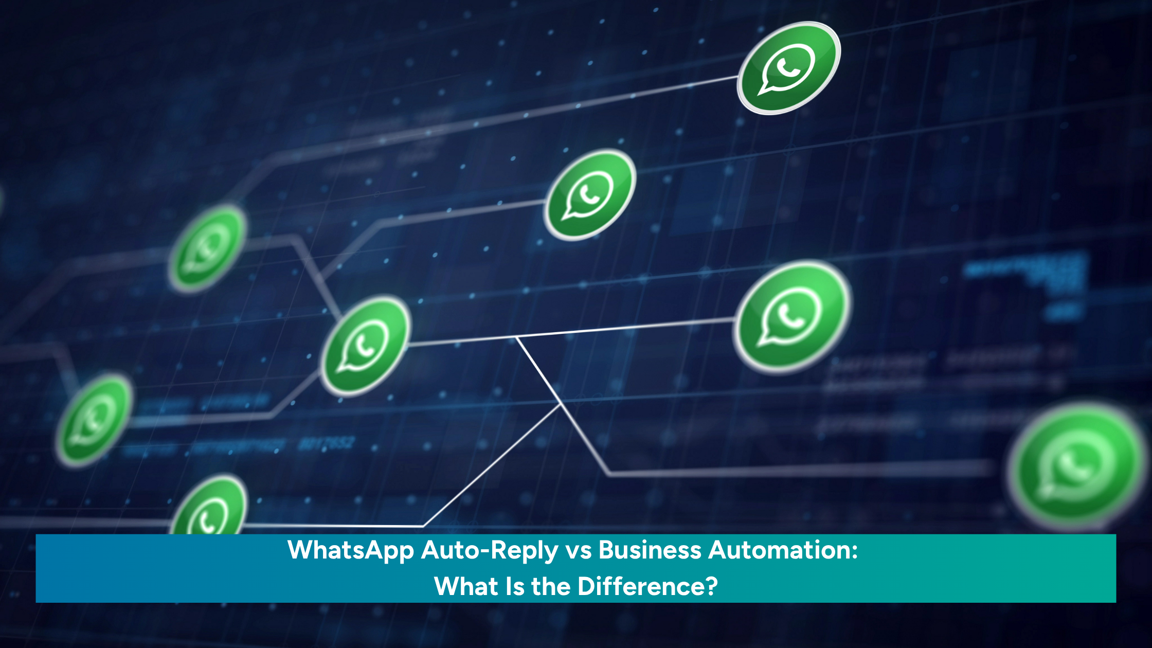 WhatsApp icons connected in a network showing auto-reply vs business automation flow